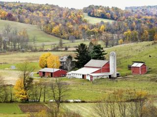 Obrazek: Amish Country, Ohio