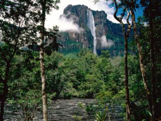 Obrazek: Angel Falls, Orinoco Basin, Canaima National Park, Venezuela