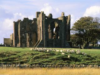 Obrazek: Berwick Upon Tweed, Northumberland, England