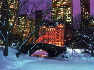 Obrazek: Central Park in Winter, New York City