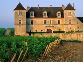 Obrazek: Clos de Vougeot Vineyard, Vougeot, France