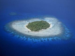 Obrazek: Coral Reefs, Micronesia
