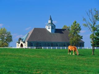 Obrazek: Donamire Horse Farm, Lexington, Kentucky