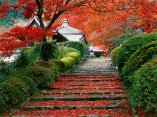 Obrazek: Garden Staircase, Kyoto, Japan