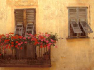 Obrazek: Golden Afternoon, Provence, France
