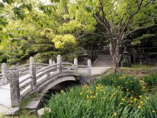 Obrazek: Hagi Castle Garden, Western Honshu, Japan