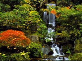 Obrazek: Japanese Garden, Portland, Oregon
