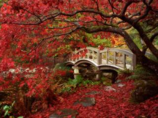 Obrazek: Japanese Garden, Royal Roads University, British Columbia