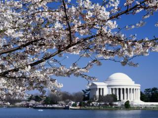 Obrazek: Jefferson Memorial, Washington, DC