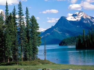 Obrazek: Maligne Lake, Jasper National Park, Alberta, Canada
