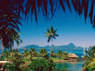 Obrazek: Moorea Island, Tahiti