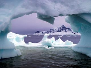 Obrazek: Paradise Bay, Antarctica