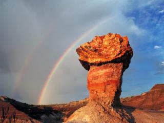 Obrazek: Pedestal Log, Blue Mesa, Petrified Forest National Park, Arizona