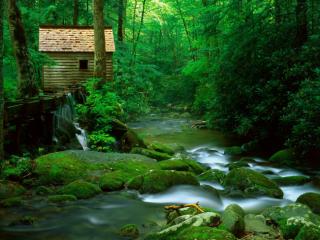 Obrazek: Reagan Mill, Roaring Fork, Great Smoky Mountains National Park, Tennessee