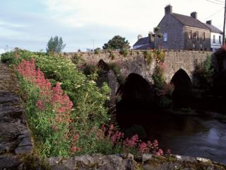 Obrazek: River Boyne, County Meath, Ireland