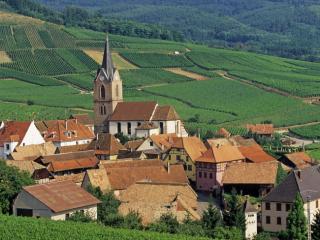 Obrazek: Rodern, Haut-Rhin, Alsace, France