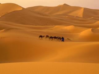 Obrazek: Sahara Desert, Morocco