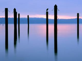 Obrazek: Sidney-by-the-Sea, British Columbia, Canada