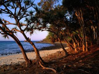 Obrazek: Tea Tree Beach, Noosa National Park, Queensland, Australia
