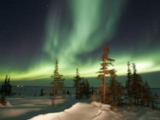 Obrazek: The Northern Lights, Churchill, Manitoba, Canada
