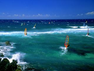 Obrazek: Windsurfers, Maui