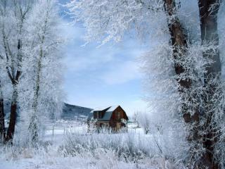 Obrazek: Winter Wonderland, Steamboat Springs, Colorado