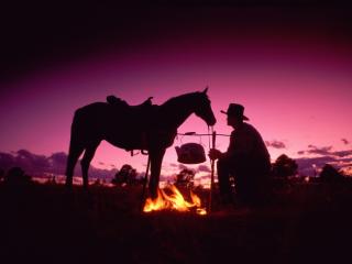 Obrazek: Koń i kowboj