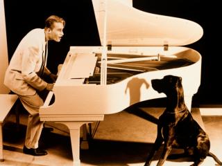 Obrazek: Pies przy fortepianie