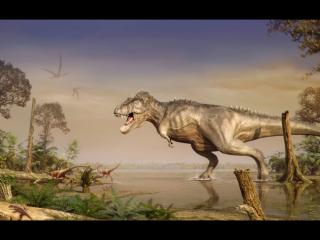 Obrazek: Dinozaury - prehistoryczne gady