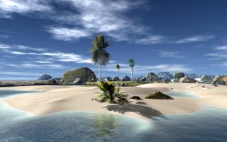 Obrazek: Palmy i głazy na wyspie