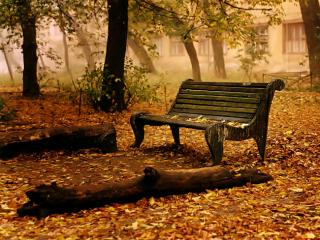 Obrazek: Stara ławka w parku