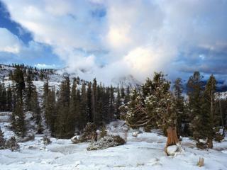Obrazek: Wczesny śnieg w Nevadzie Kalifornia