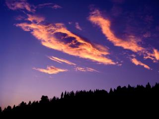 Obrazek: Wieczorne chmury na lasem