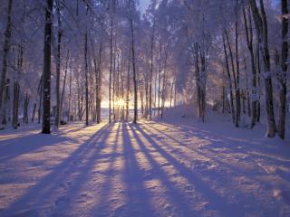 Obrazek: Wschód słońca zimą
