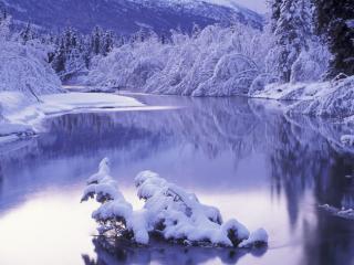 Obrazek: Leśna rzeka zimą