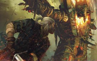 Obrazek: Witcher 2 Assassins of Kings 2560x1600px