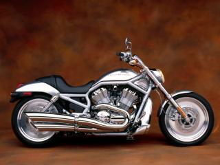 Obrazek: 2002 Harley Davidson V-Rod