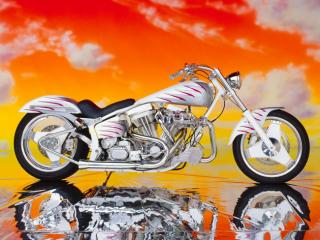 Obrazek: White Silver Custom Harley-Davidson