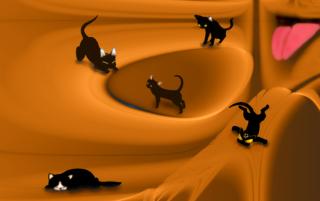 Obrazek: Czarne koty bawiące się