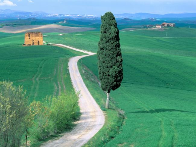 Country Road, Tuscany, Italy