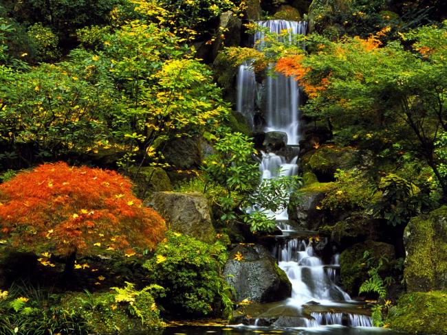 Japanese Garden, Portland, Oregon