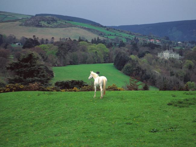 Wicklow Countryside, Near Powerscourt Castle, Ireland