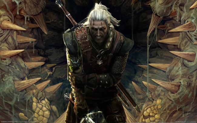 Witcher 2 Assassins of Kings 2560x1600px