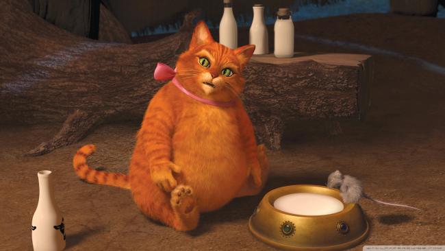 Puss in boots shrek forever after