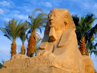 Obrazek: Avenue of Sphinxes, Luxor, Egypt