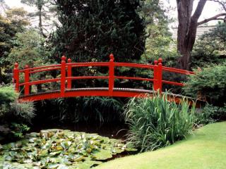 Obrazek: Japanese Garden, County Kildare, Ireland