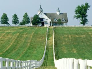 Obrazek: Manchester Farm, Lexington, Kentucky