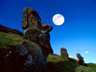 Obrazek: Moa, Rano Raraku, Easter Island, Chile