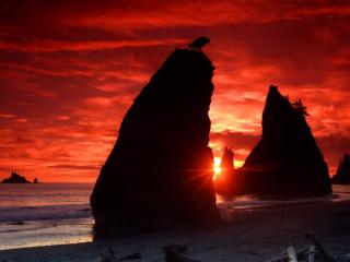 Obrazek: Sea Stacks Knife a Blood-Red Sky, Olympic National Park, Washington