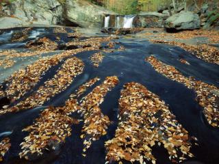 Obrazek: Tellico River, Cherokee National Forest, Tennessee